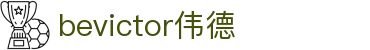 Bevictor伟德官网 - 韦德(中国)体育-伟大始于1946